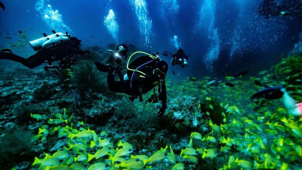 10 Surprising Details About Australia’s Great Barrier Reef 3 Scuba Diving sport water
