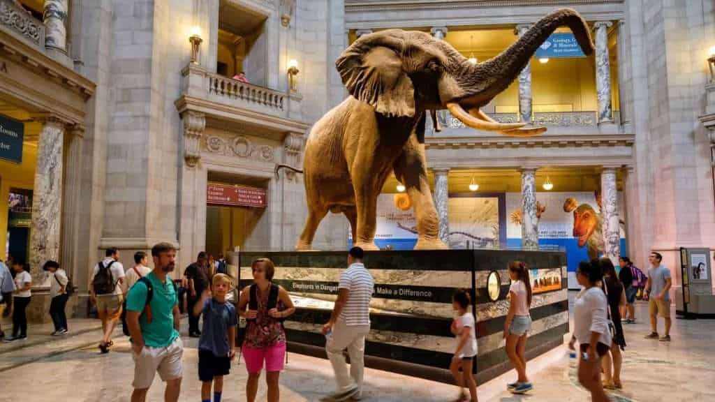 19 Best Group Travel Tours for Older Travelers 5 Smithsonian National Museum of American History Washington D.C