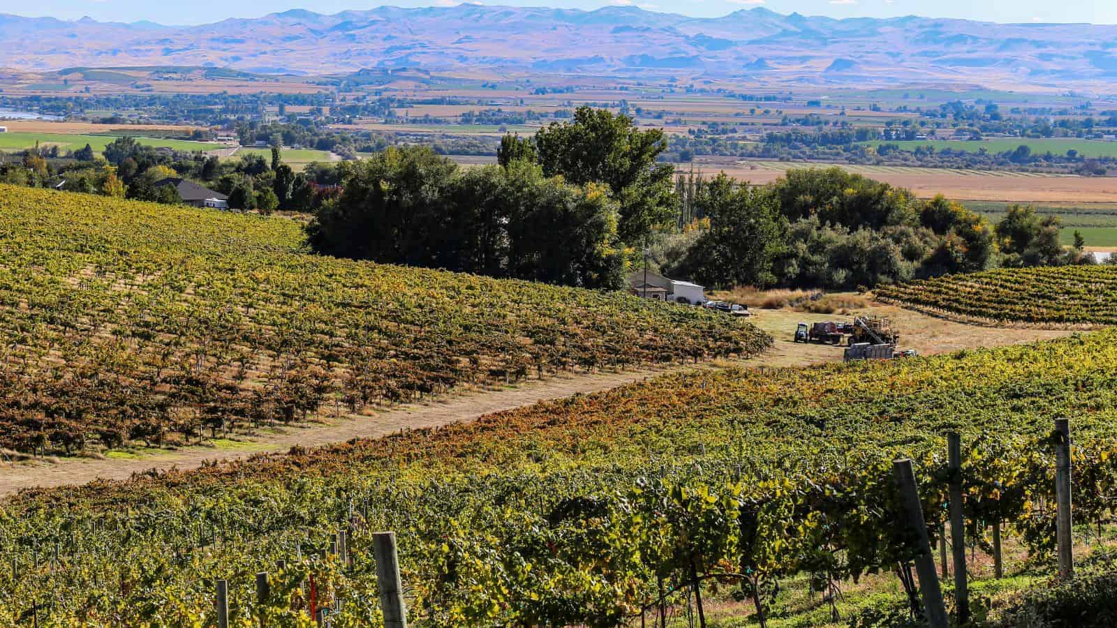17 Hidden Wine Regions in the U.S. That Only Locals Know 3 Snake River Valley Idaho