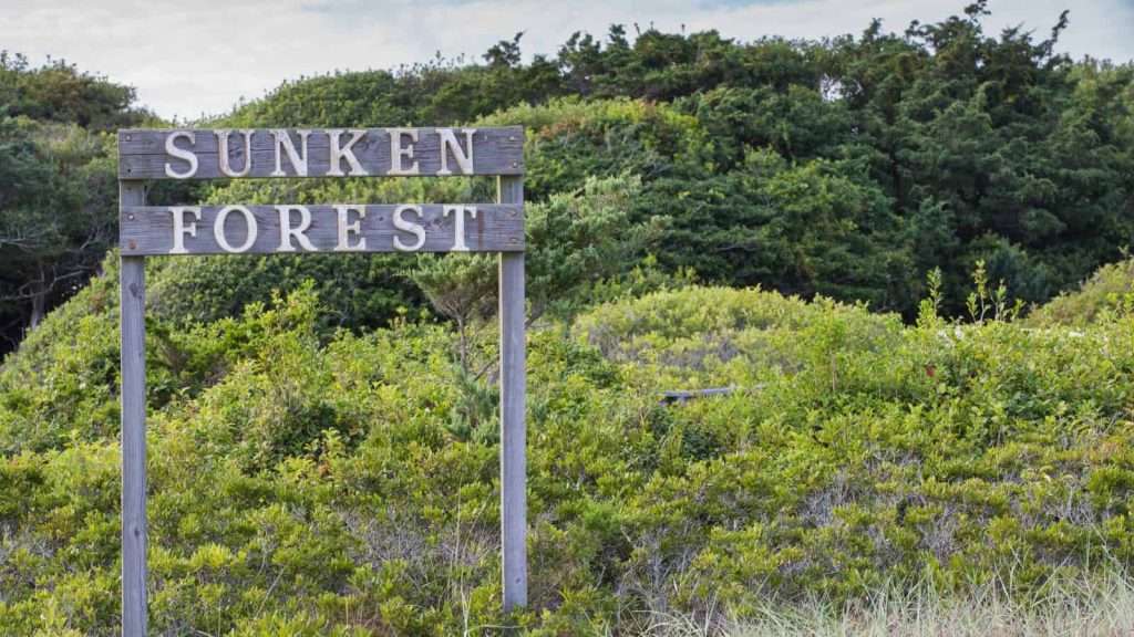 12 Secret Historical Sites in the U.S. with Fascinating Backstories 12 Sunken Forest Fire Island New York