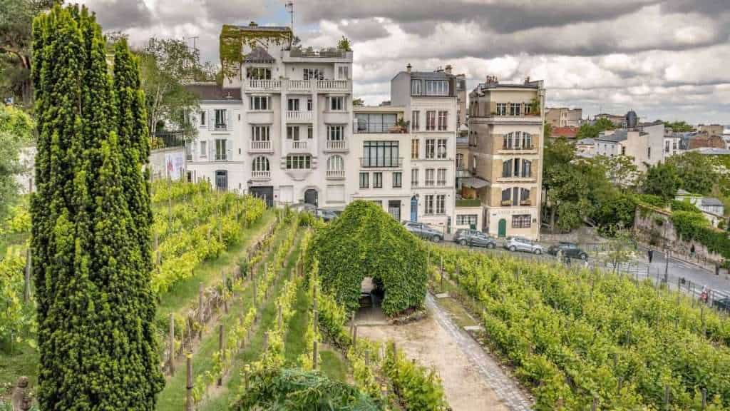 8 Places in Paris Beyond the Eiffel Tower you Must Visit 7 The Little Known Vineyard of Montmartre