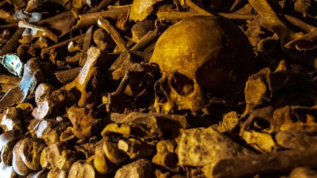 8 Places in Paris Beyond the Eiffel Tower you Must Visit 3 The Mysterious Catacombs Beneath Paris skull 1