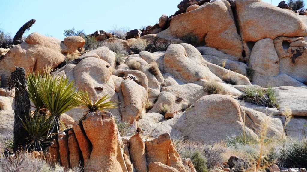 20 U.S. Desert Towns You Won’t Believe Are Real 17 Twentynine Palms California