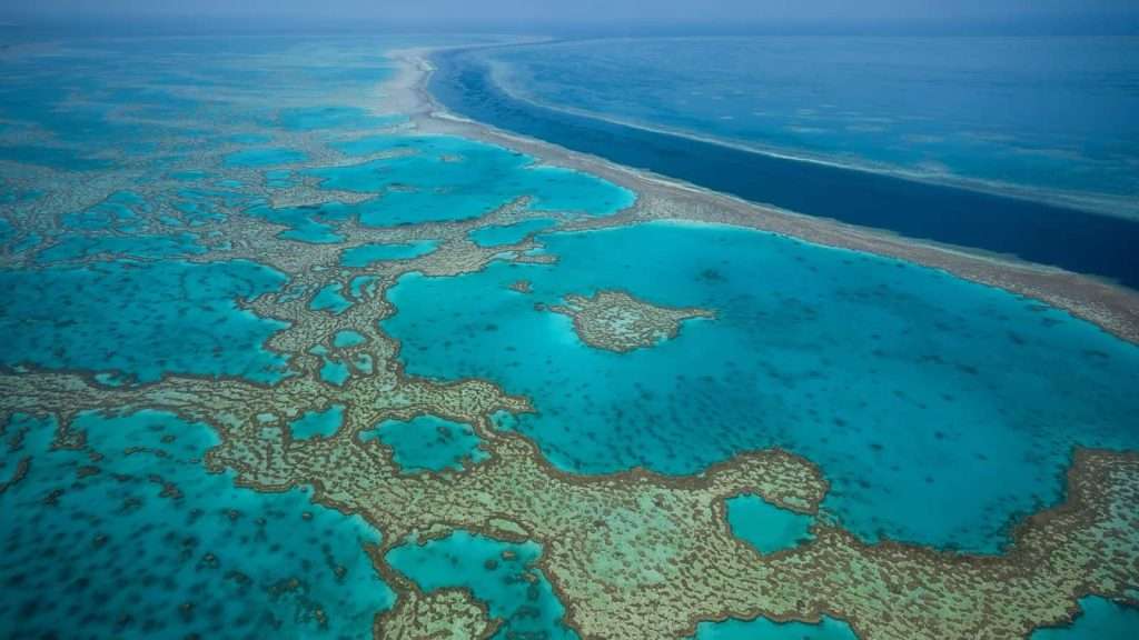 10 Surprising Details About Australia’s Great Barrier Reef 10 great barrier reef sea