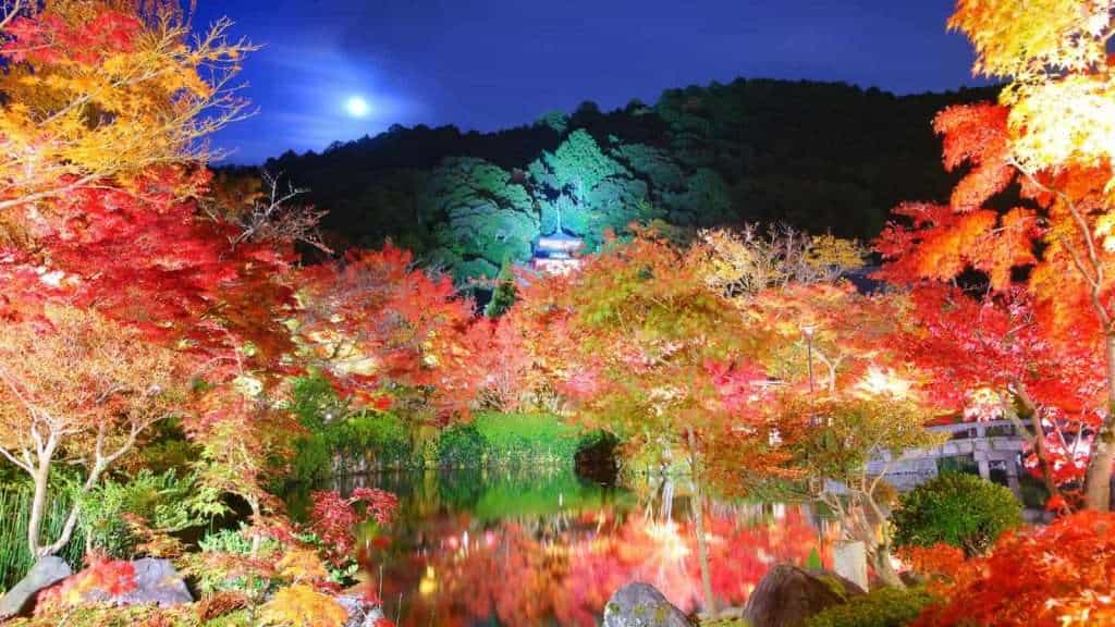 12 Secrets About Kyoto’s Temples and Gardens 8 japan Eikando Hidden Fall Foliage