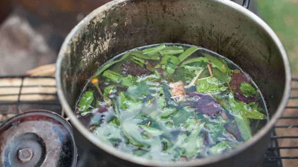 10 Little-Known Details About Brazil’s Amazon Rainforest 6 medicine amazon food