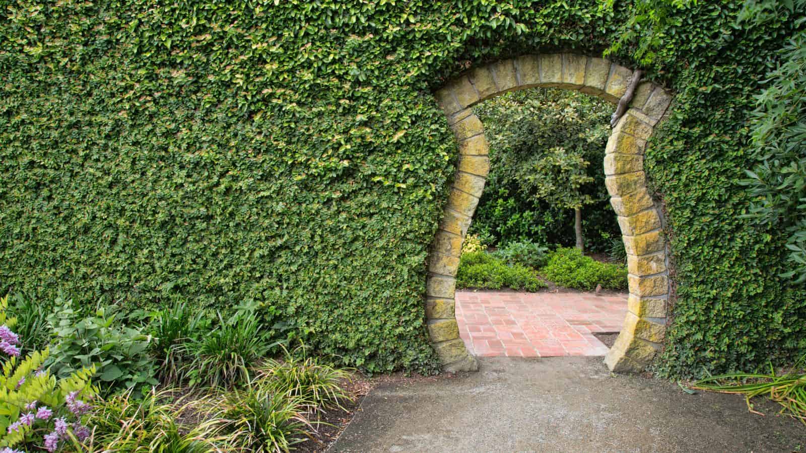 14 Unique Facts About New Zealand You Probably Didn’t Know 19 14 Unique Facts About New Zealand You Probably Didn’t Know