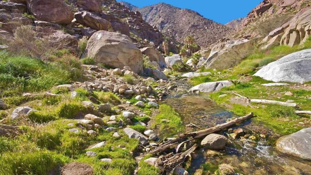 20 Desert Oases in the U.S. Southwest That Are Miraculously Serene 12 Anza Borrego Palm Canyon California