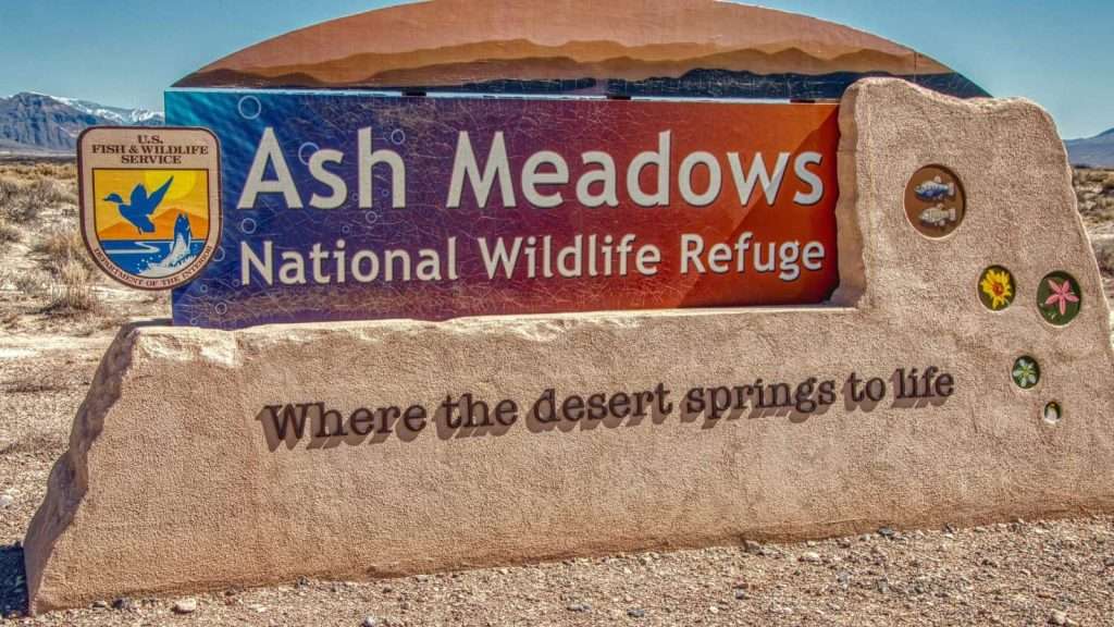 20 Desert Oases in the U.S. Southwest That Are Miraculously Serene 7 Ash Meadows National Wildlife Refuge Nevada