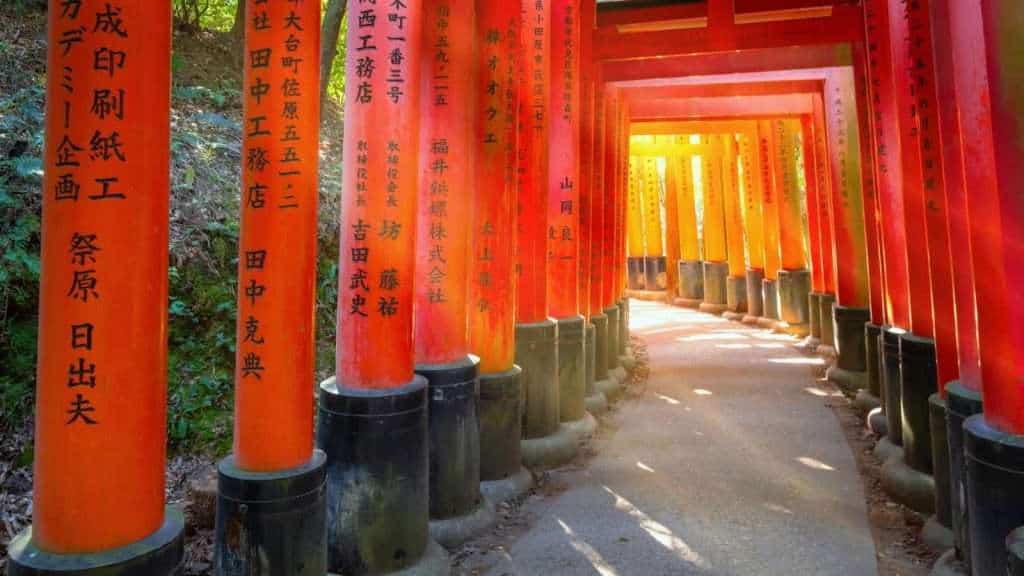 16 Beautiful Places Around the Globe That Prove Age Is Just a Number 2 Fushimi Inari Taishas Torii Gates japan