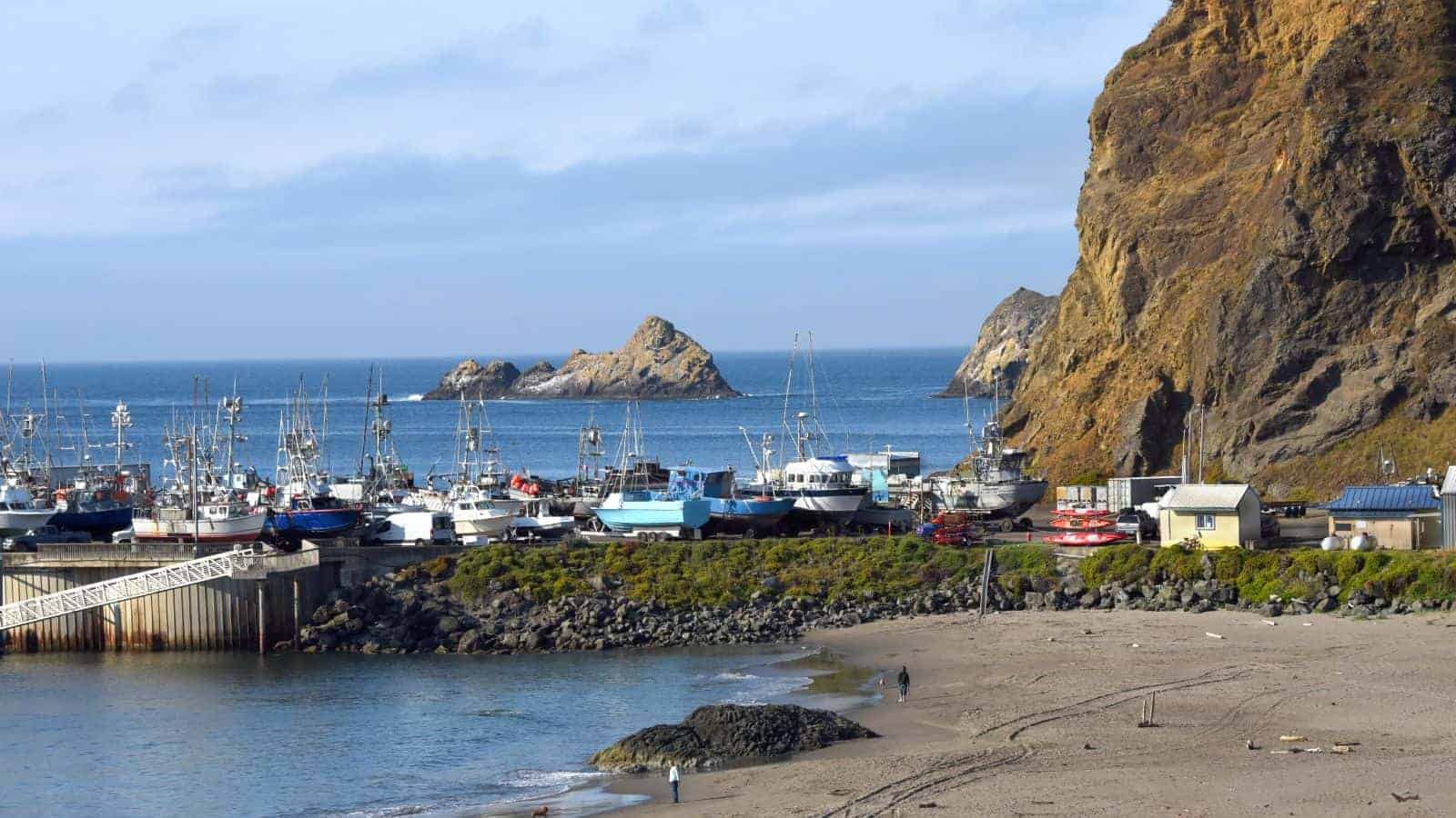 18 Underrated U.S. Coastal Towns That Offer Peaceful Seclusion 2 Port Orford Oregon