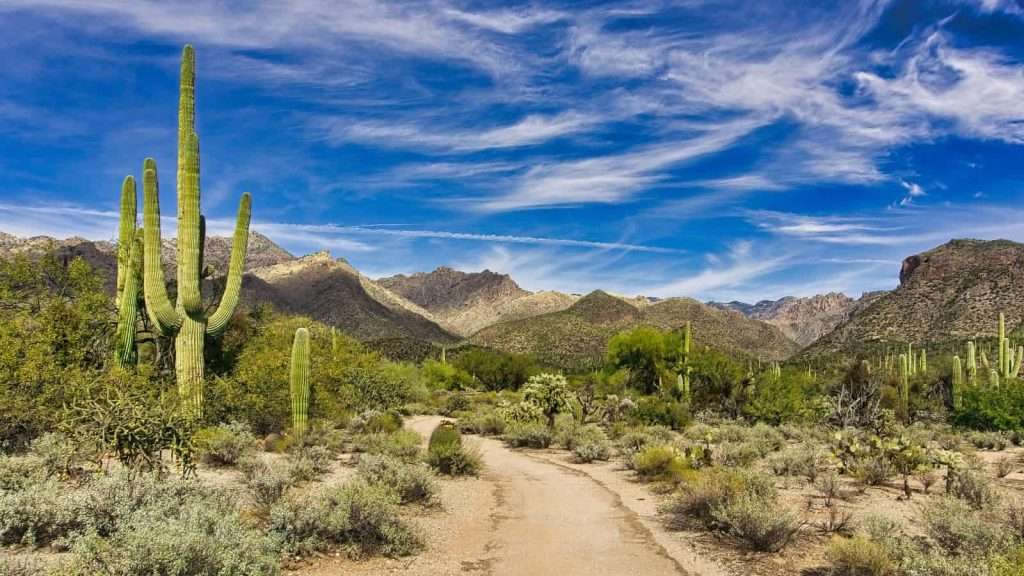 20 Desert Oases in the U.S. Southwest That Are Miraculously Serene 6 Sabino Canyon Arizona