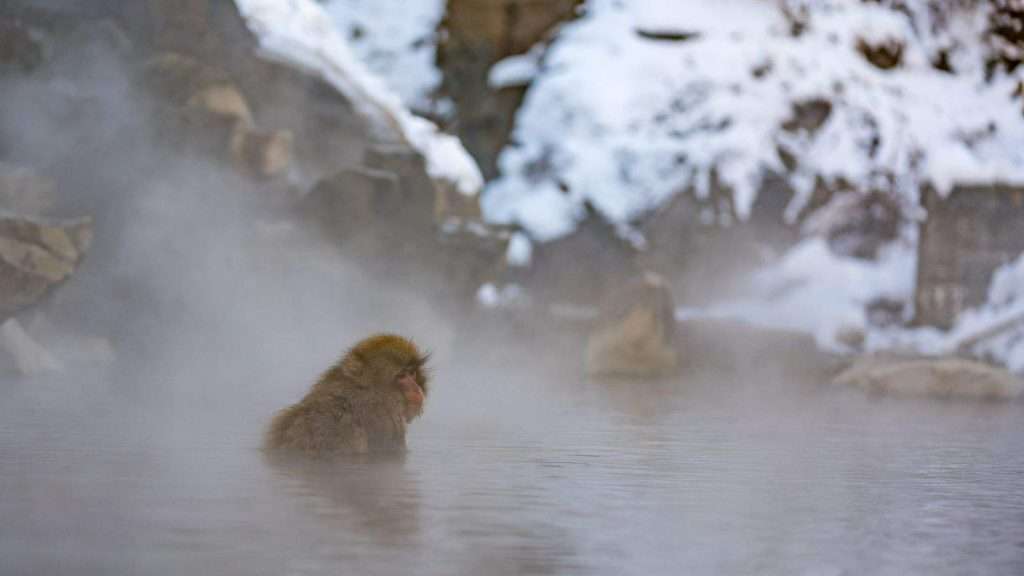 13 Global Adventures That Will Make You Feel Young Again 14 Soak in the Hot Springs of the Japanese Alps Japan