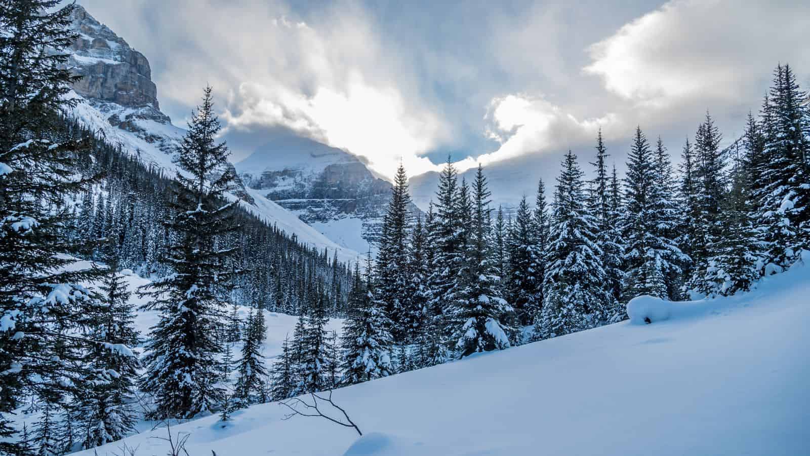 Discover Joy and Purpose: 15 Trips That Lead to Your Ikigai 22 Discover Joy and Purpose: 15 Trips That Lead to Your Ikigai