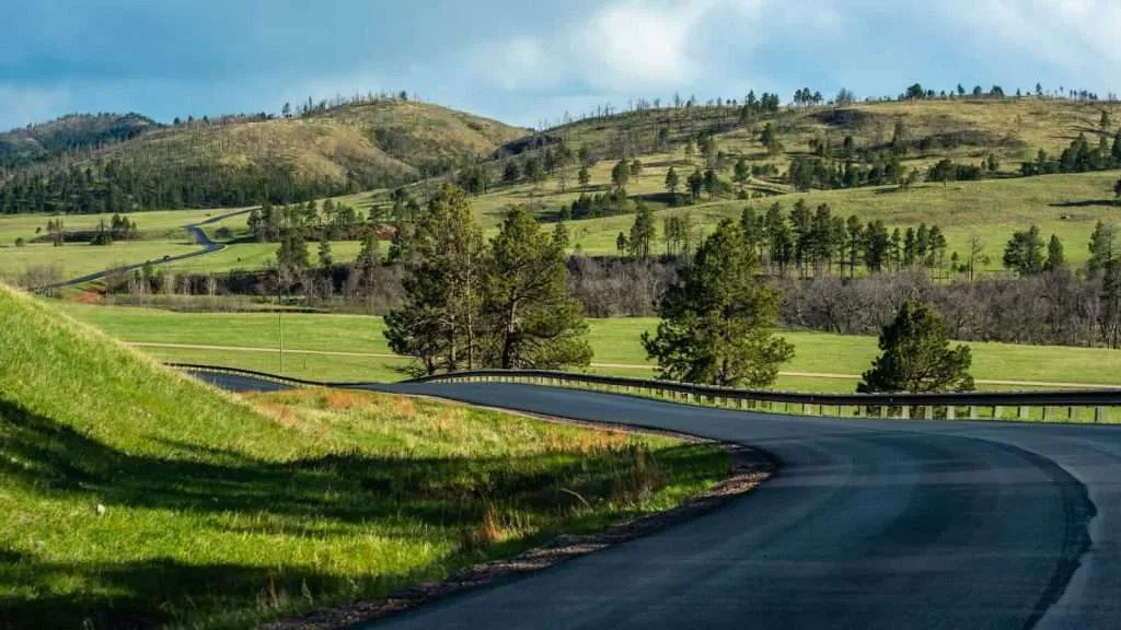 22 Underrated State Parks That Rival the Big National Parks 3 Custer State Park South Dakota road