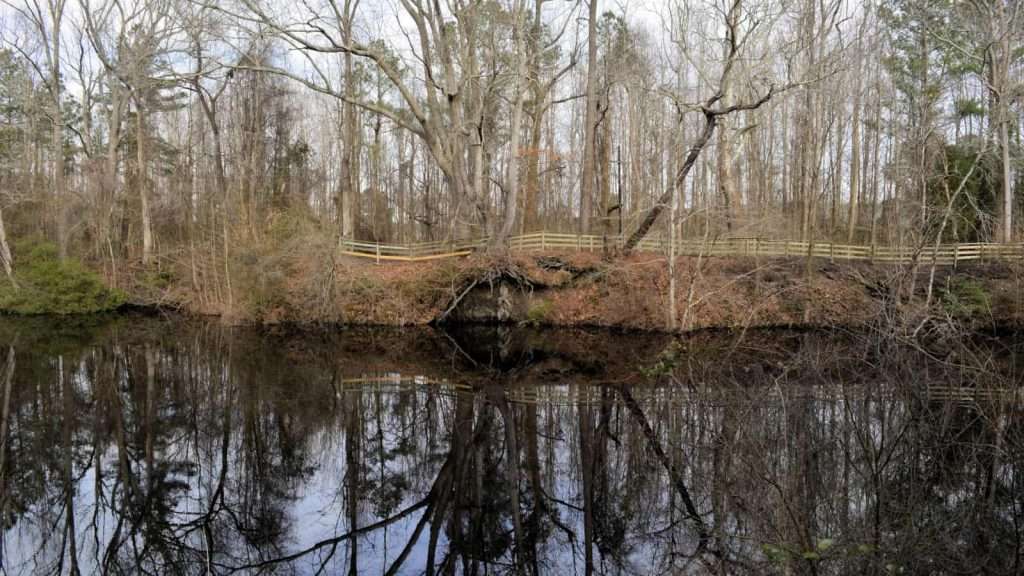 25 American Lagoons and Swamps Locals Warn You Not to Explore 5 Great Dismal Swamp Virginia North Carolina