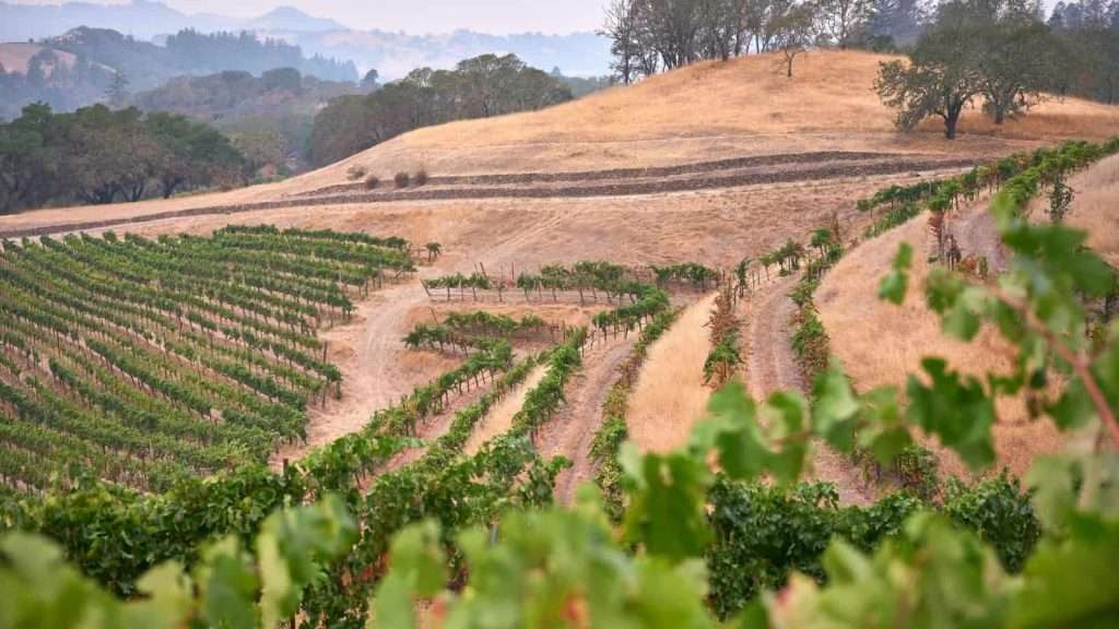 20American Towns That Feel Like They’re in Another Country 9 Healdsburg California