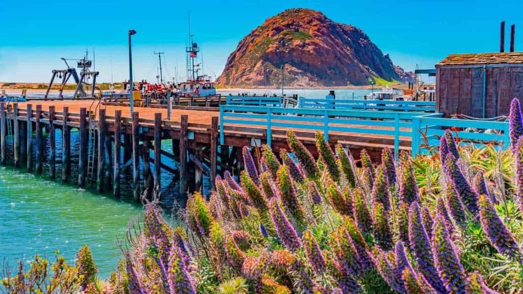 25 Coastal Towns in the U.S. That Are Pure Magic 15 Morro Bay California