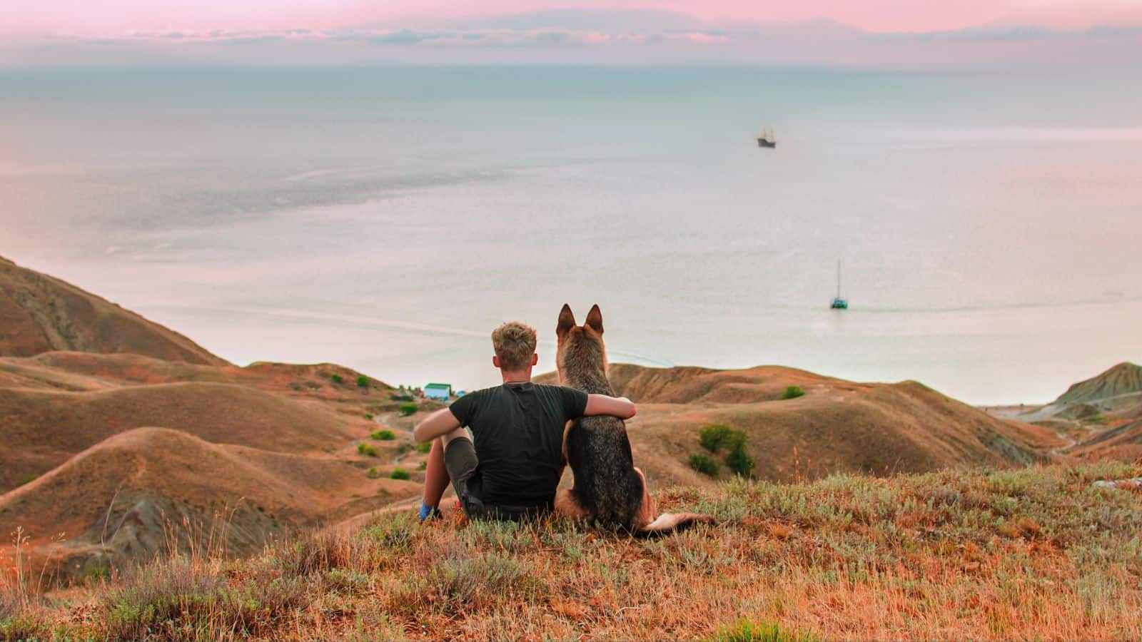 18 Best Hiking Trails to Explore With Your Dog 22 18 Best Hiking Trails to Explore With Your Dog