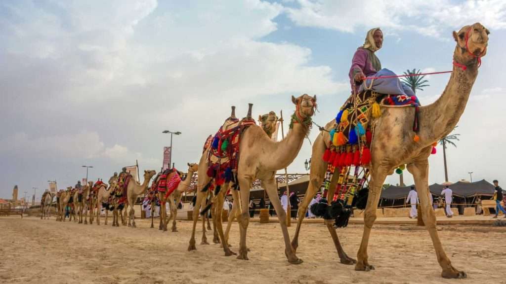 19 Best Group Travel Tours for Older Travelers 18 cultural and active tours animal camels ride travel