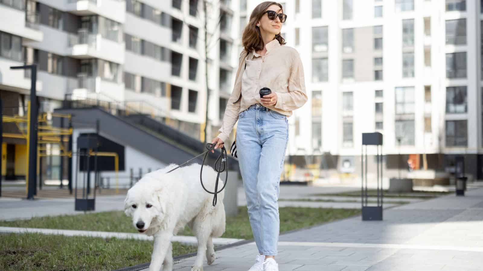 19 Cities That Are Surprisingly Pet-Friendly 28 19 Cities That Are Surprisingly Pet-Friendly
