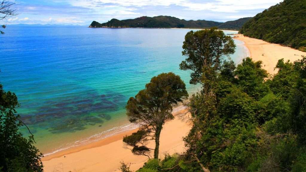 21 Remote Beaches That Will Make You Forget the Rest of the World Exists 12 Awaroa Beach Abel Tasman National Park New Zealand