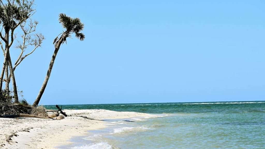 25 American Beaches Locals Call Beautiful by Day, Terrifying by Night 11 Cayo Costa Florida