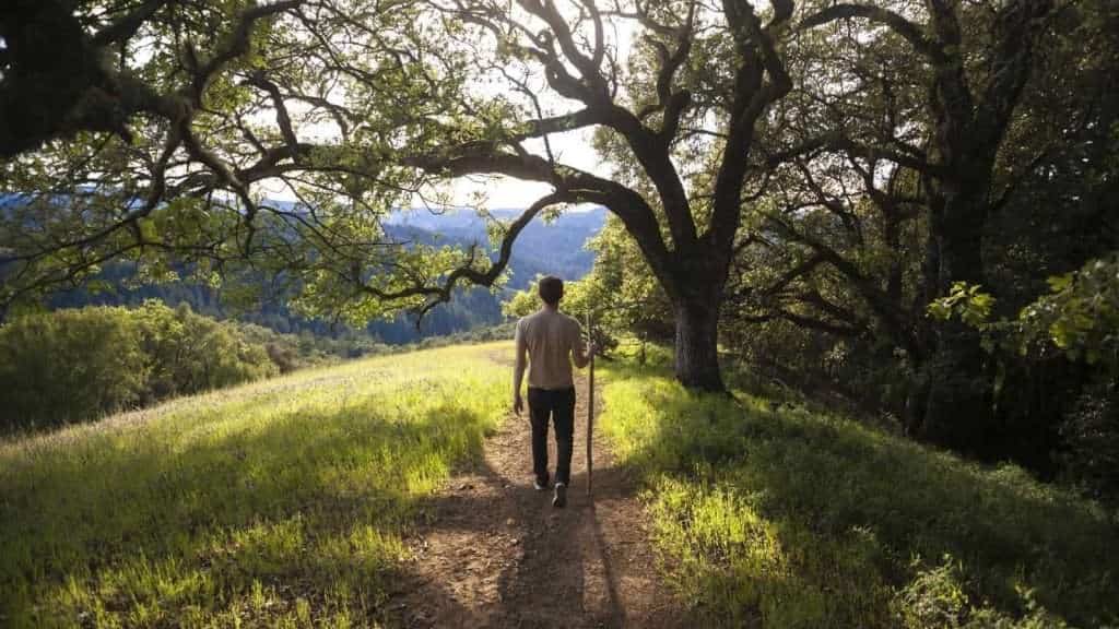 21 Rustic Countryside Retreats That Will Make You Want to Pack Your Bags 3 Sonoma County California USA