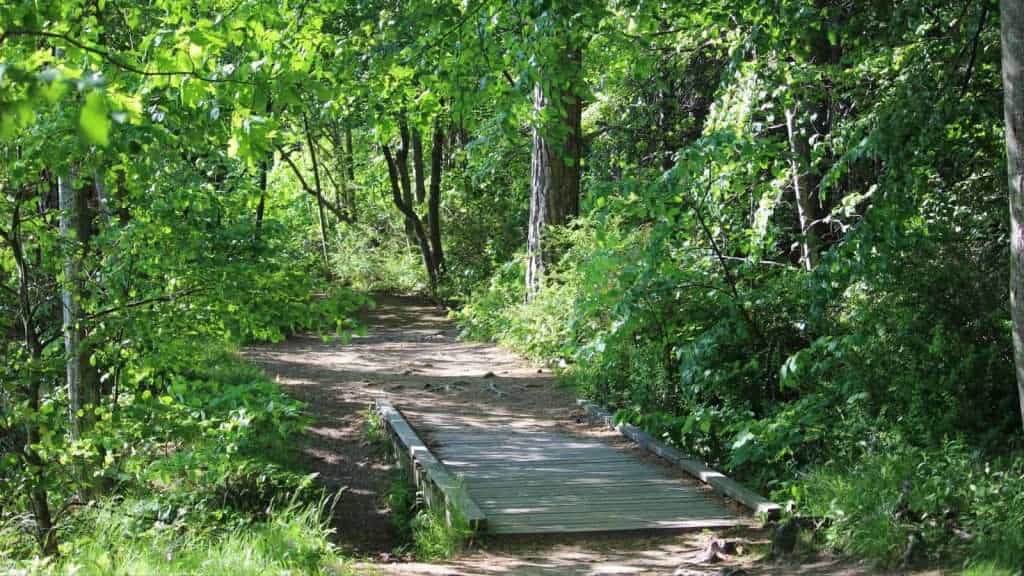21 Peaceful U.S. Islands That Feel Like a Secret Paradise 13 mackworth island maine