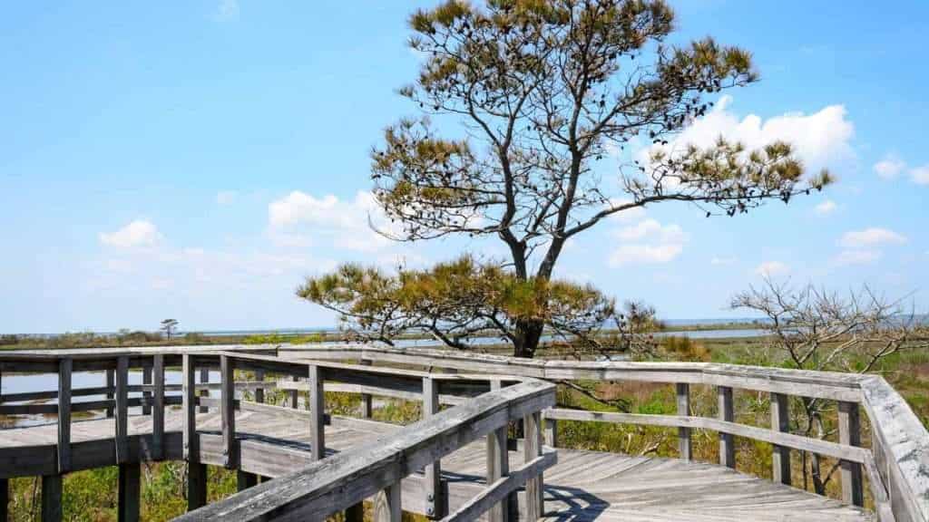 18 American Islands With Histories So Dark You’ll Question Visiting 10 Assateague Island Maryland Virginia
