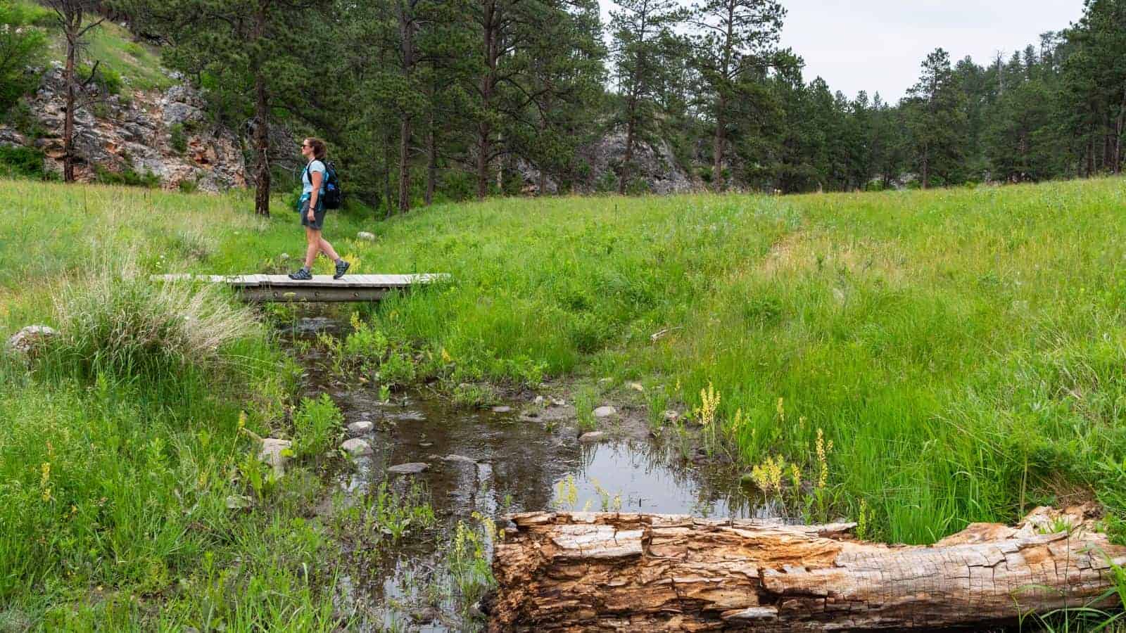 These 21 U.S. Hiking Trails Offer Some of the Most Stunning Views We’ve Seen 14 Cave Creek Trail South Dakota