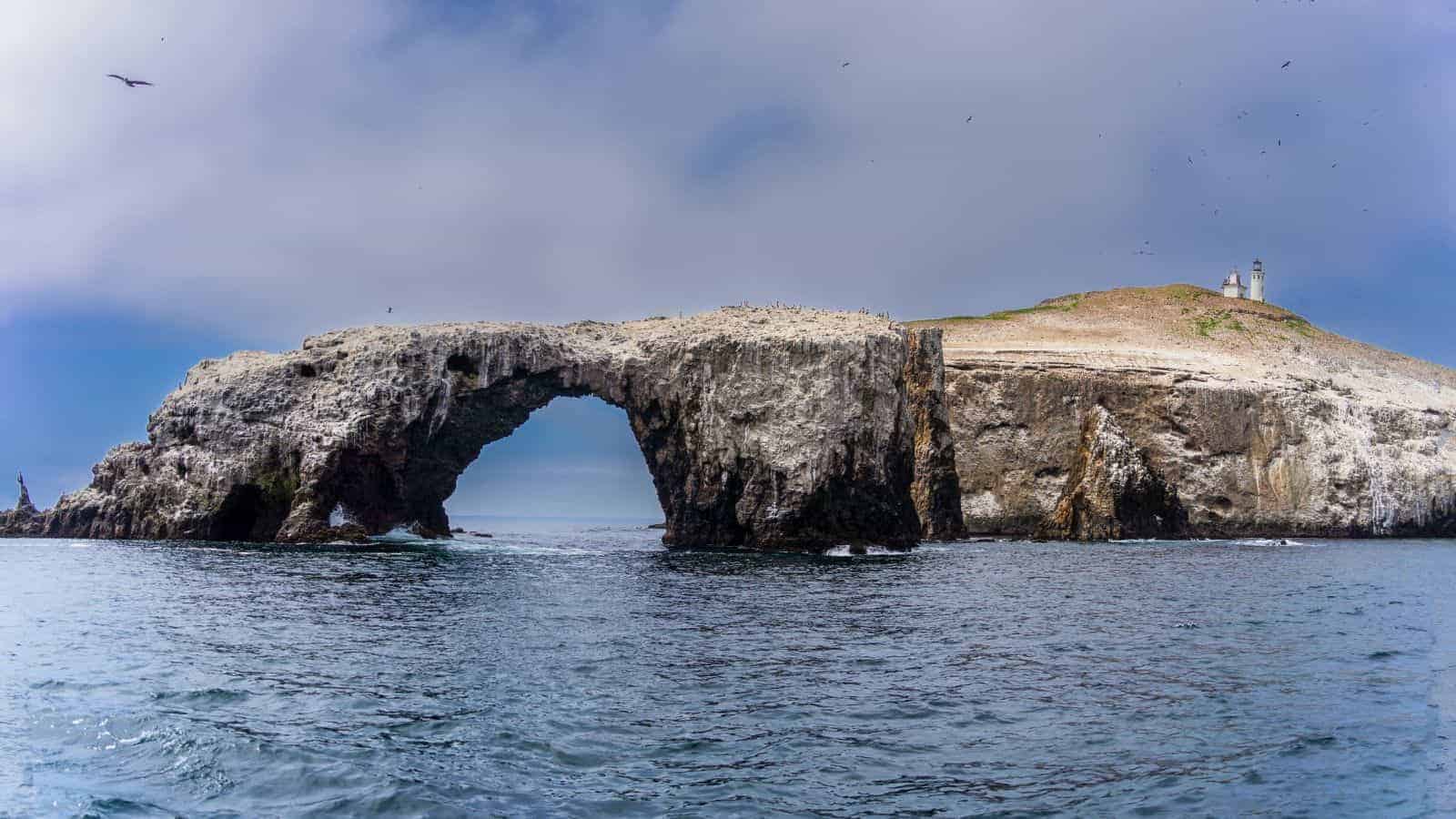 18 Quiet U.S. National Parks That Locals Prefer Over the Big Names 15 Channel Islands National Park California