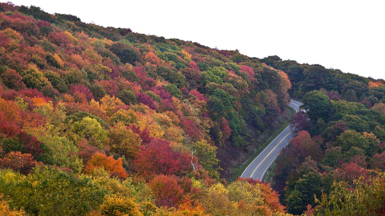 20 Amazing Road Trip Routes That Take You Through America’s Best-Kept Secrets 10 Cherohala Skyway Tennessee and North Carolina