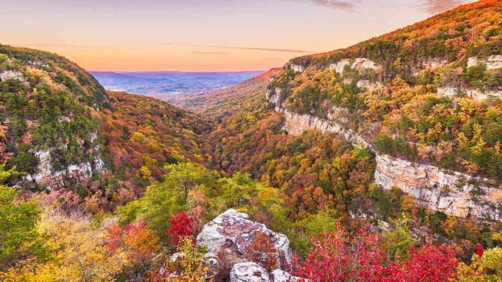 20 U.S. Lookout Points With Views So Good People Forget How Dangerous They Are 20 Cloudland Canyon Falls Georgia