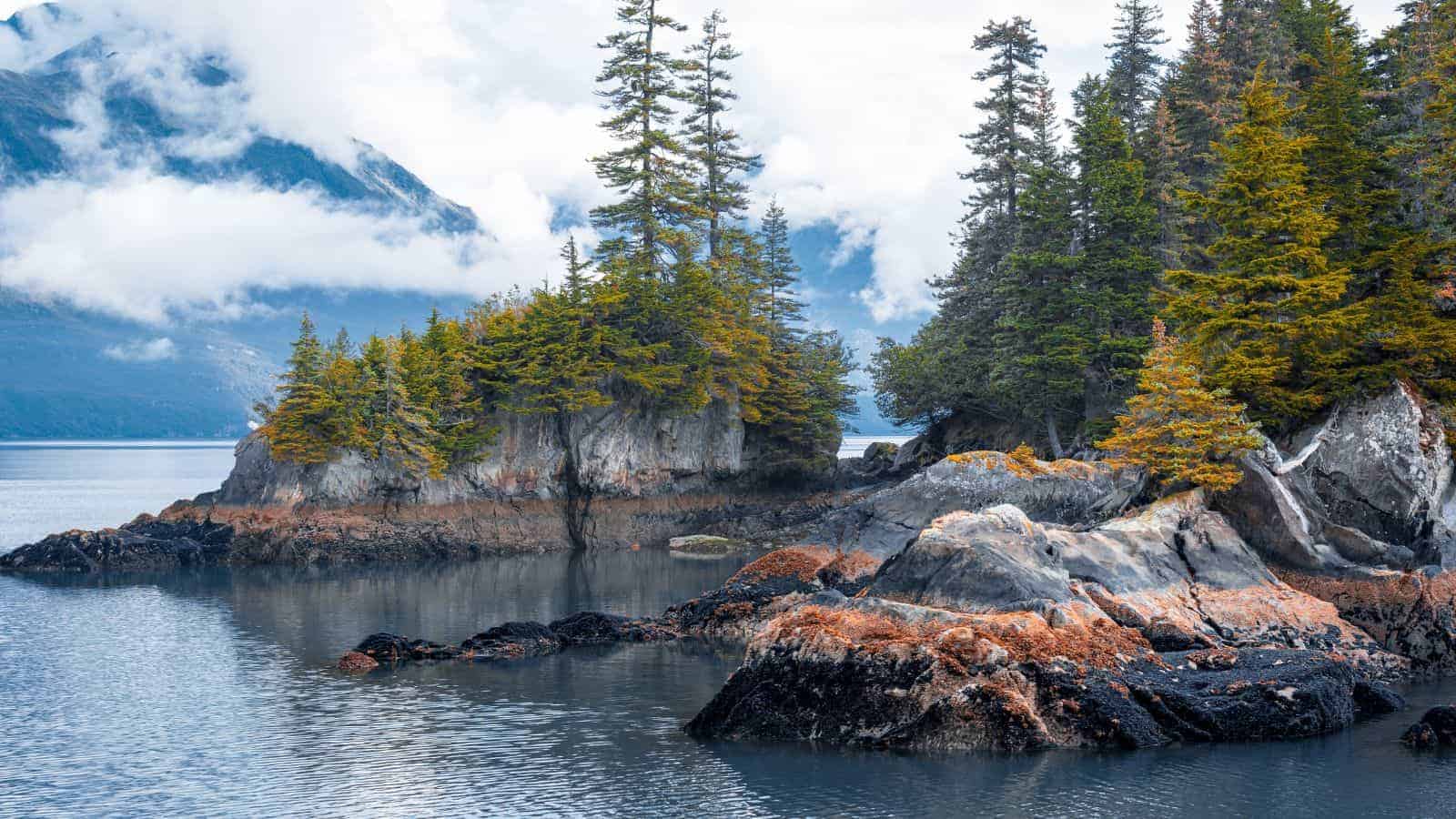20 Spectacular Fjords Around the World That You Have to See to Believe 12 Kenai Fjords Alaska USA