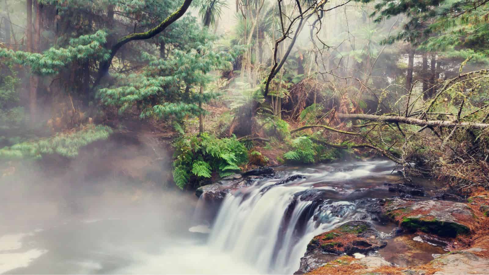 20 Lesser-Known Hot Springs Around the World for the Ultimate Relaxation 18 Kerosene Creek New Zealand