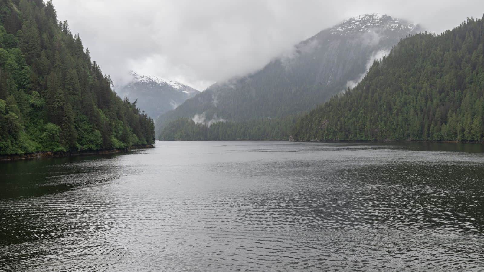 20 Spectacular Fjords Around the World That You Have to See to Believe 13 Misty Fjords Alaska USA