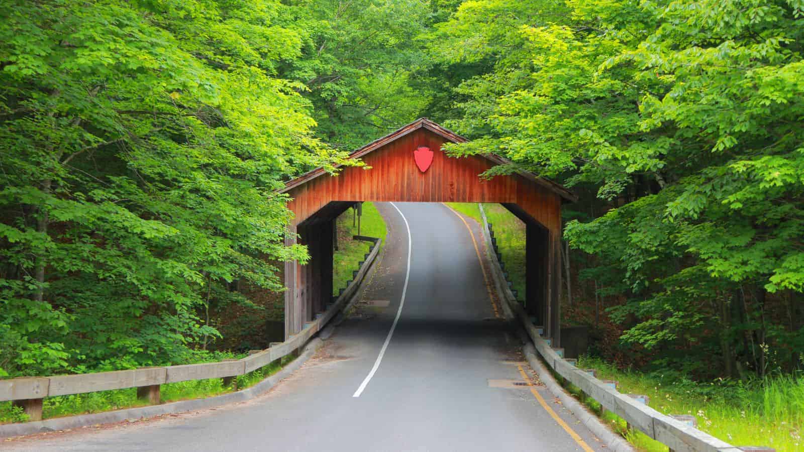 20 Amazing Road Trip Routes That Take You Through America’s Best-Kept Secrets 6 Pierce Stocking Scenic Drive Michigan