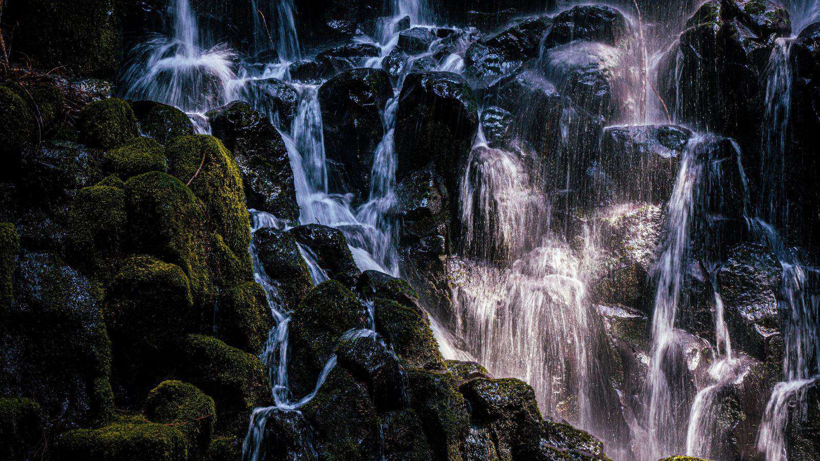 These 21 U.S. Hiking Trails Offer Some of the Most Stunning Views We’ve Seen 17 Ramona Falls Trail Oregon