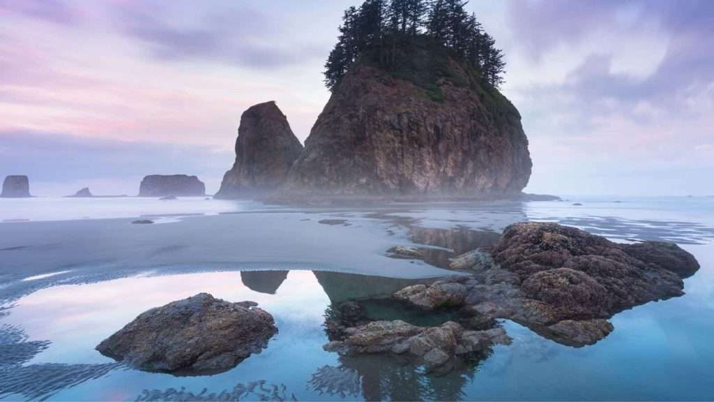 22 Quiet American Beaches That Locals Are Begging You Not to Visit 5 Second Beach Washington
