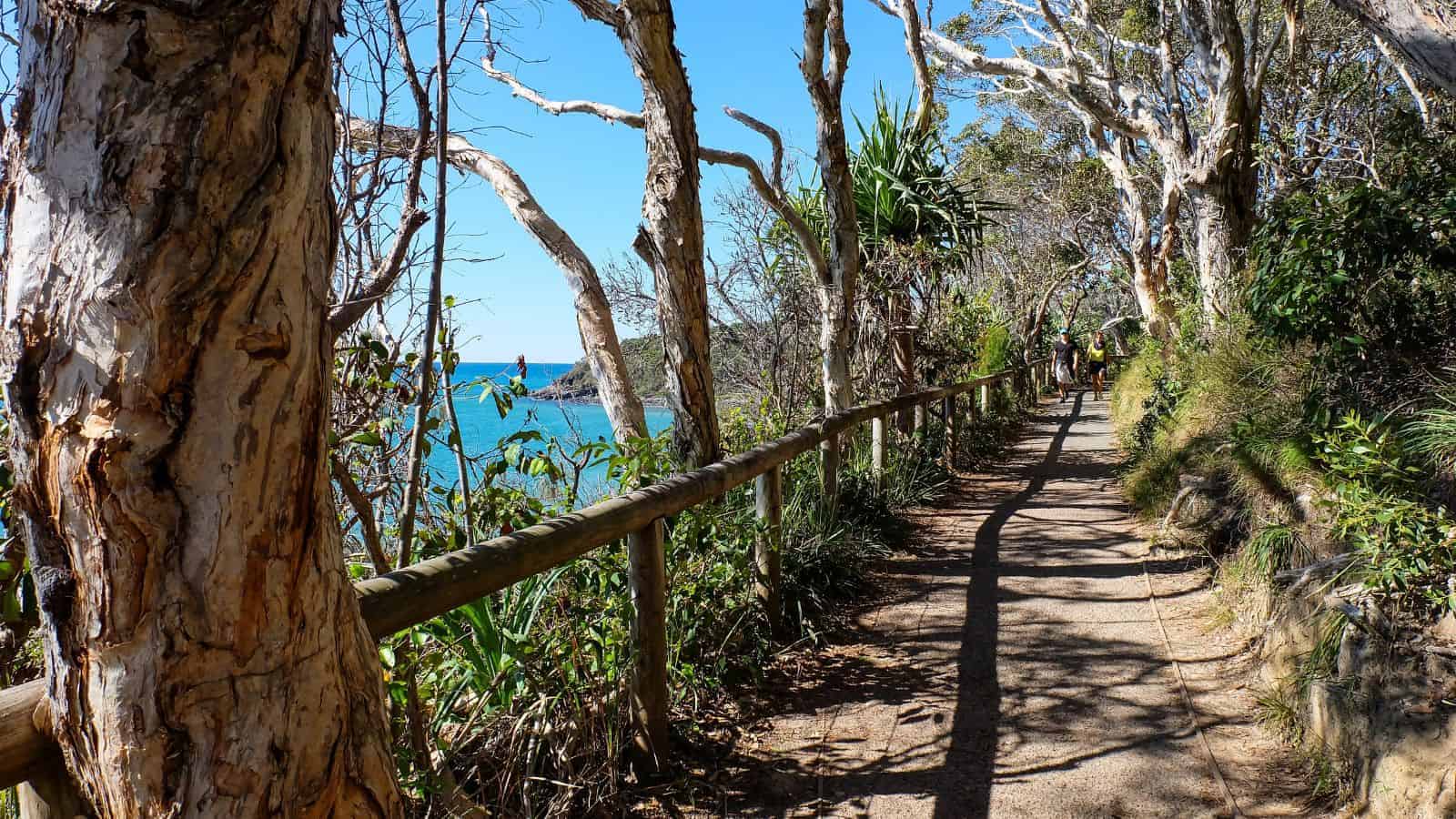 19 Coastal Drives That Are Just as Beautiful as the Pacific Coast Highway 17 Sunshine Coast Australia