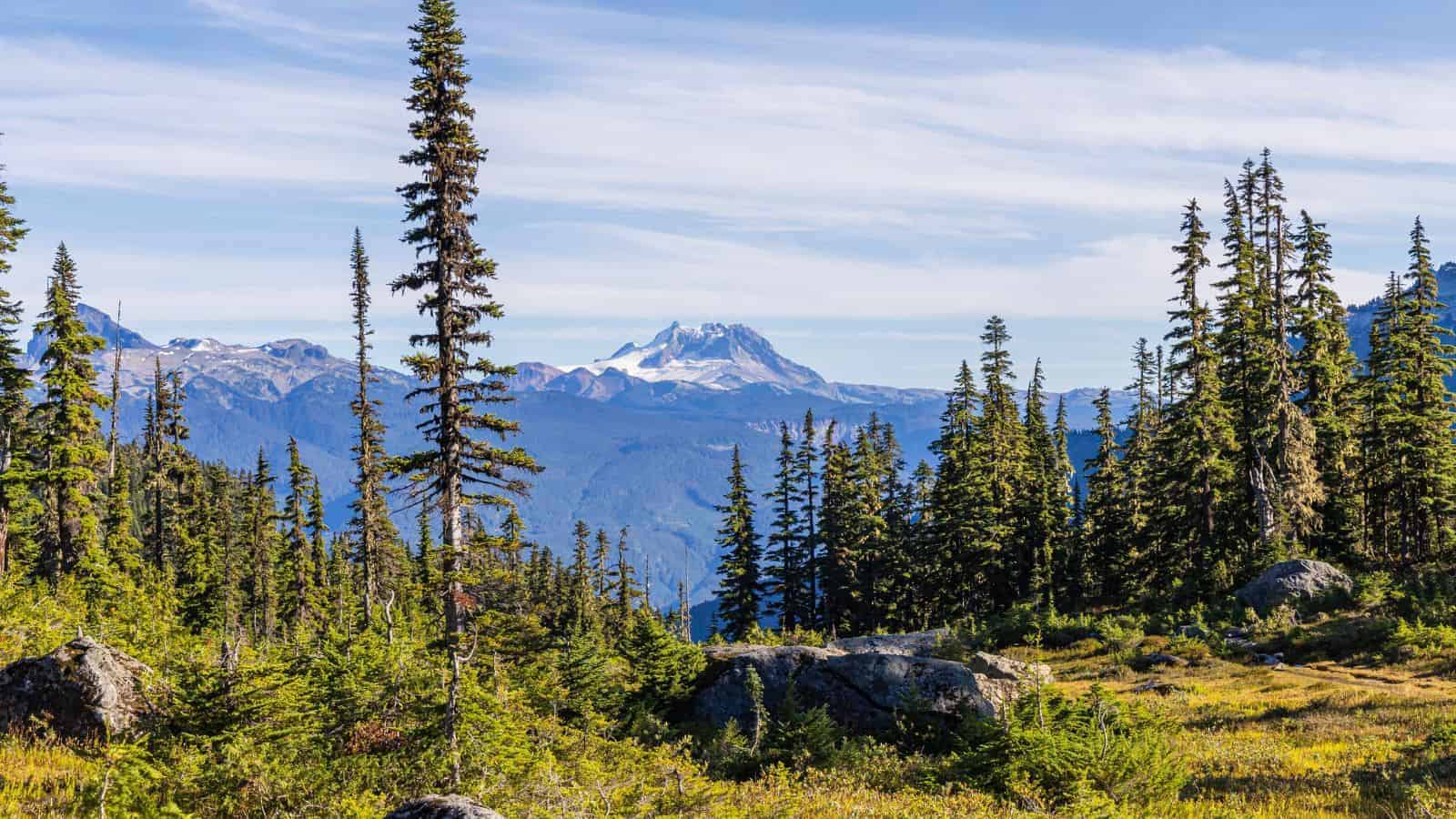 18 Cozy Winter Getaways That Feel Like a Real-Life Snow Globe 17 Whistler British Columbia