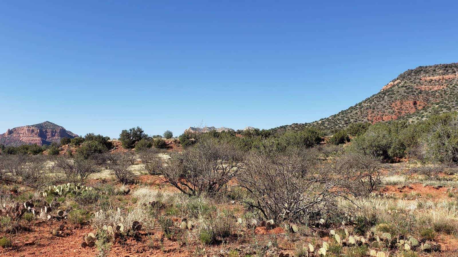 These 21 U.S. Hiking Trails Offer Some of the Most Stunning Views We’ve Seen 8 Woods Canyon Trail Arizona