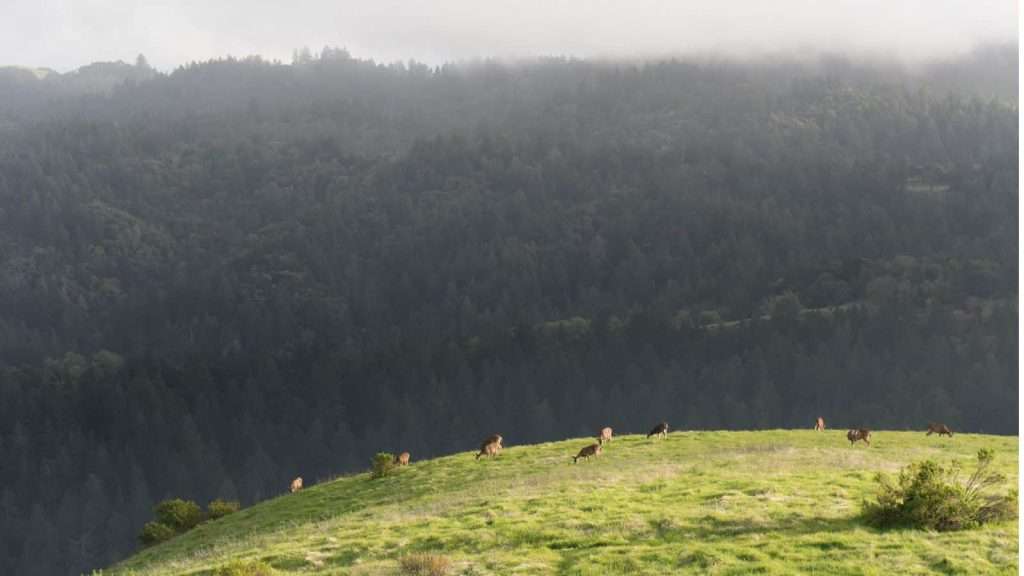 24 American Resorts So Remote You’ll Question How They Even Exist 13 Doe Bay Resort Retreat Washington
