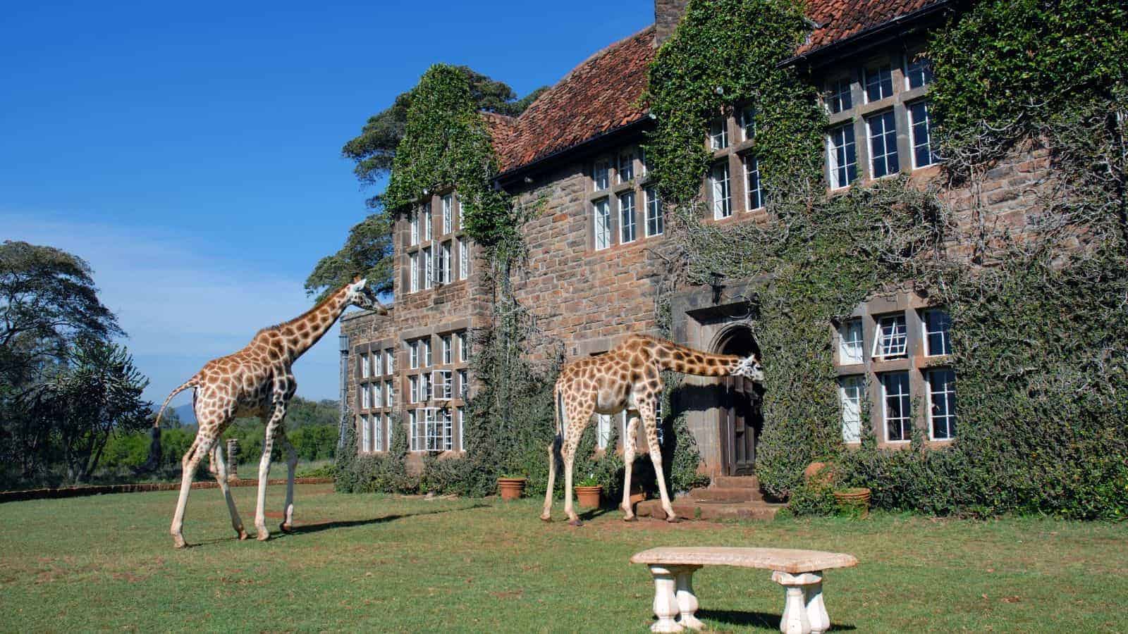 19 Offbeat Travel Destinations for Families Looking Beyond the Obvious 2 Giraffe Manor Kenya