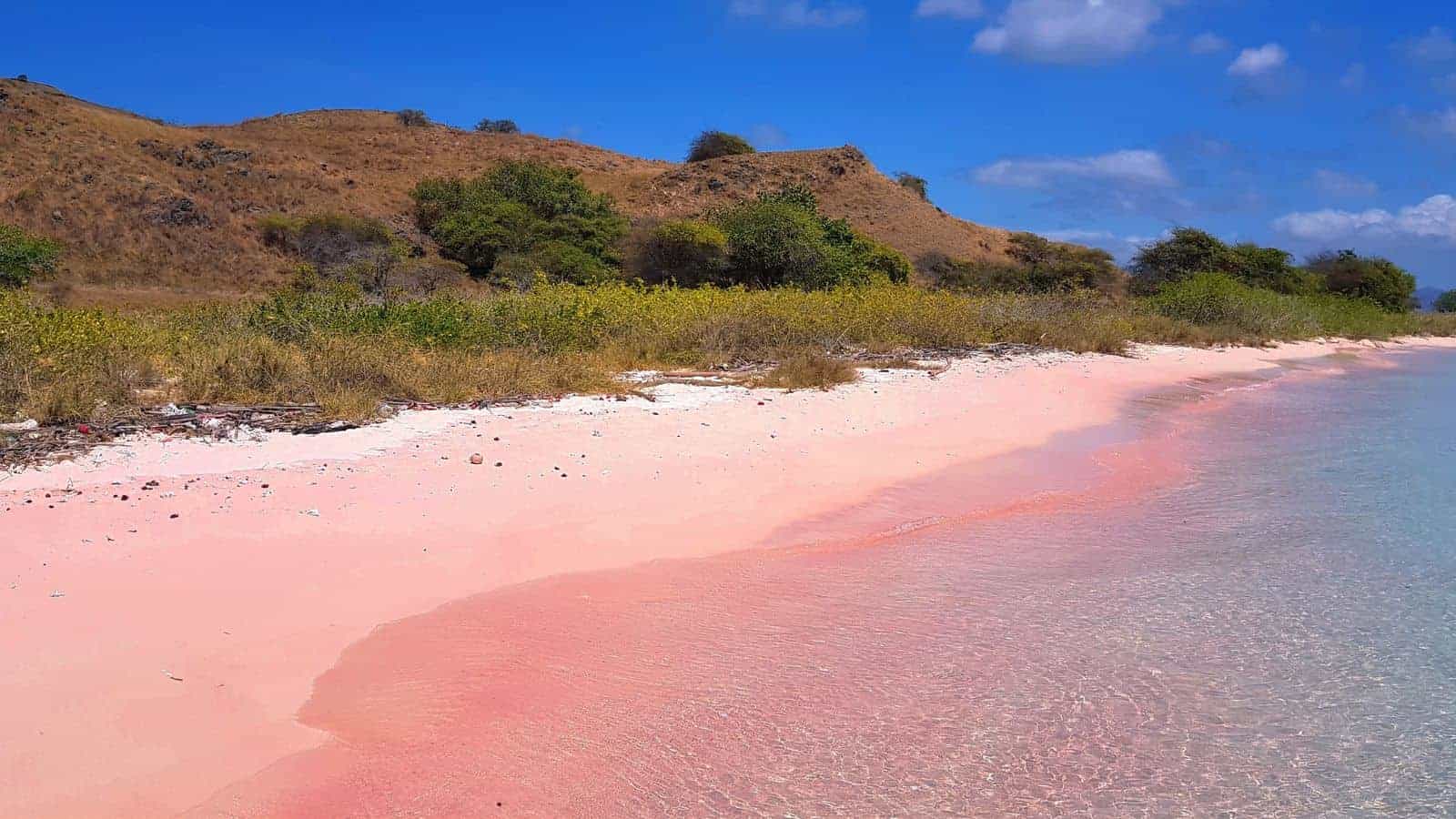 17 Hidden Beaches in Asia That Are Worth the Journey 14 Pink Beach Indonesia