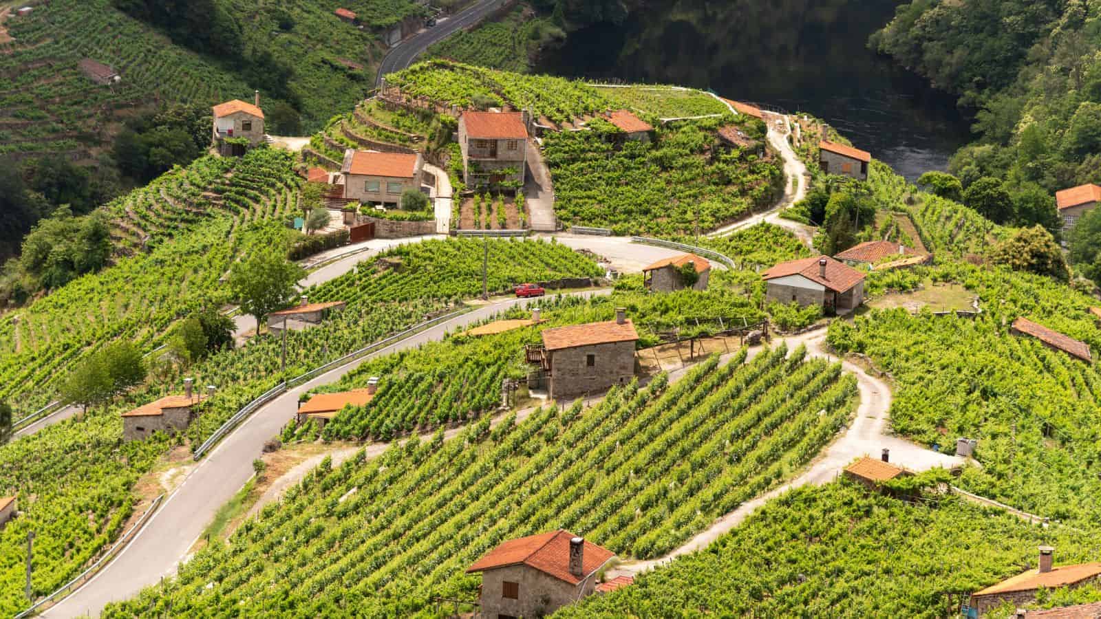 16 Secret Wine Regions Around the World That Rival Napa Valley 15 Ribeira Sacra Spain