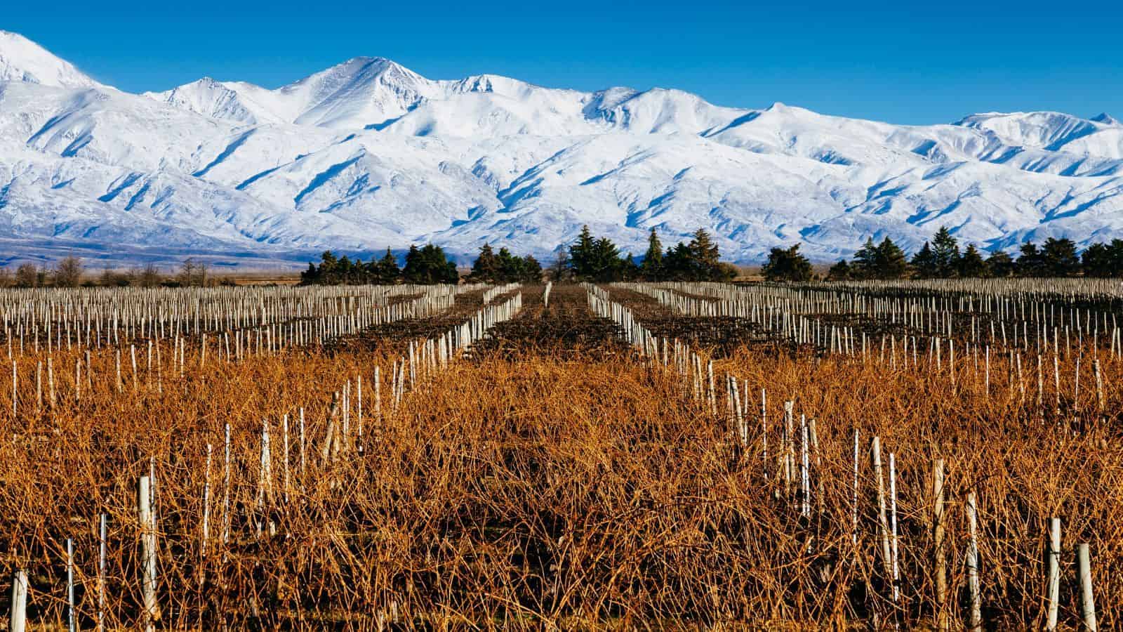 16 Secret Wine Regions Around the World That Rival Napa Valley 4 Uco Valley Argentina