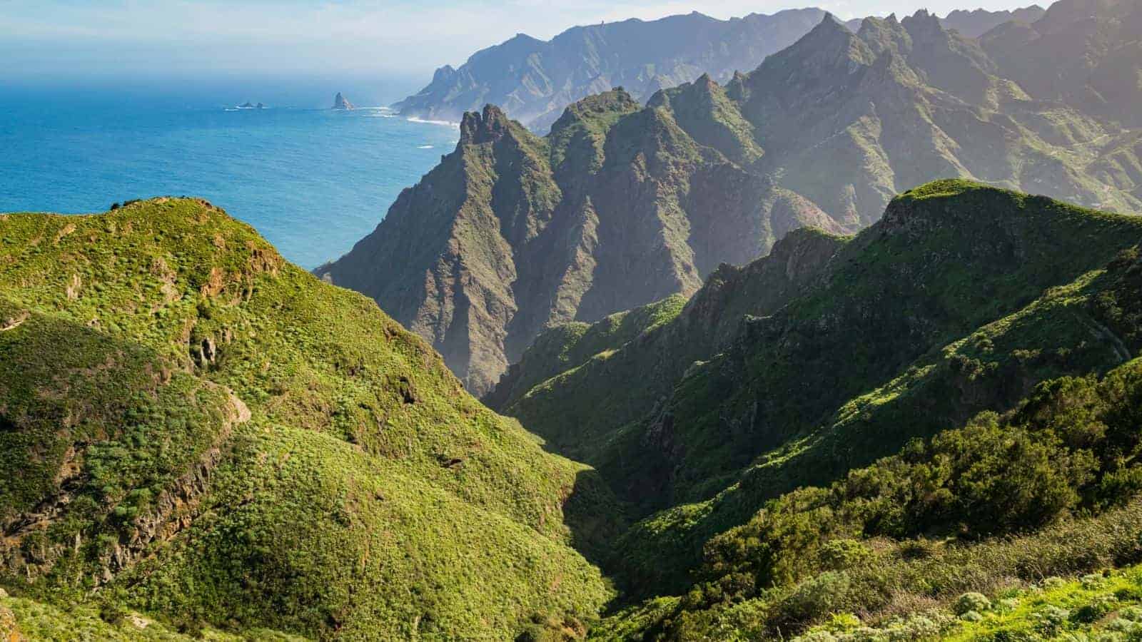 Disconnect To Reconnect With These 19 Peaceful Escapes to Recharge Your Soul 3 Anaga Rural Park Tenerife
