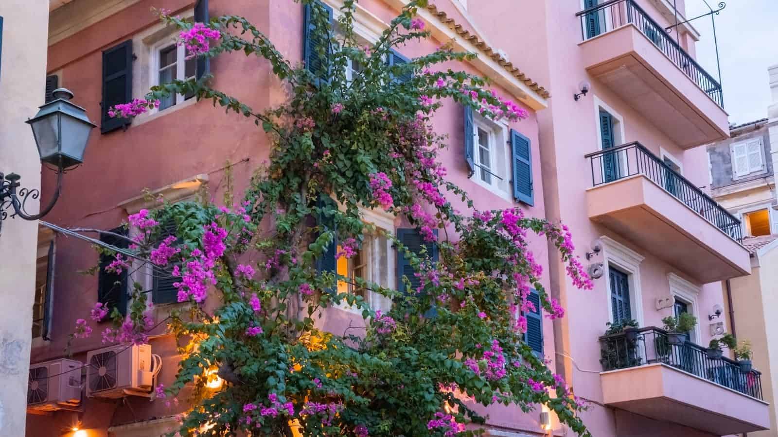 15 Remote Work Destinations Offering Culture, Comfort, and Connectivity 26 15 Remote Work Destinations Offering Culture, Comfort, and Connectivity